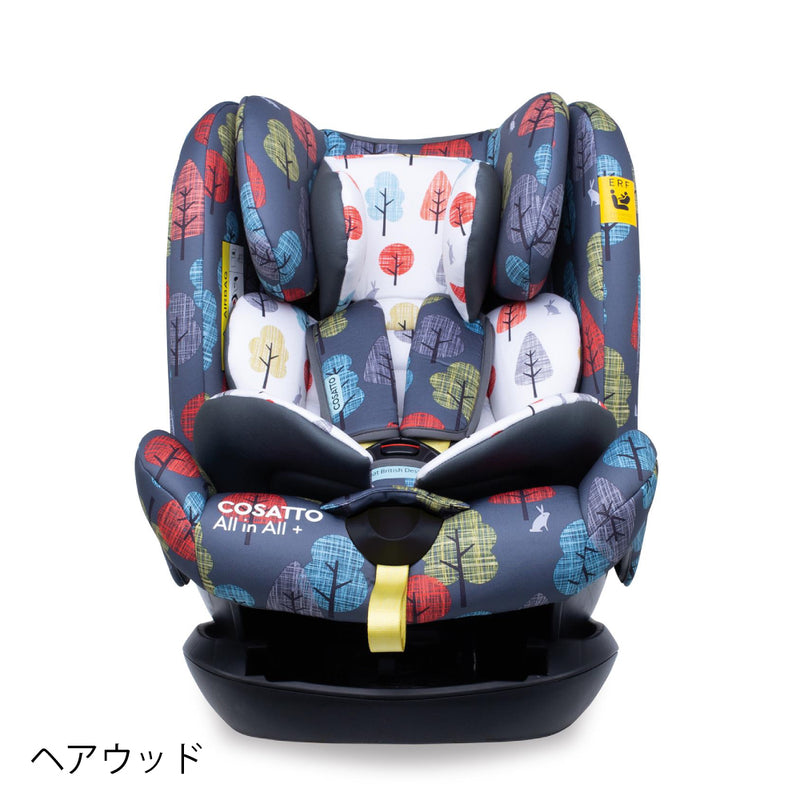 All-in-all + (Dragon Kingdom) Cosat child seat